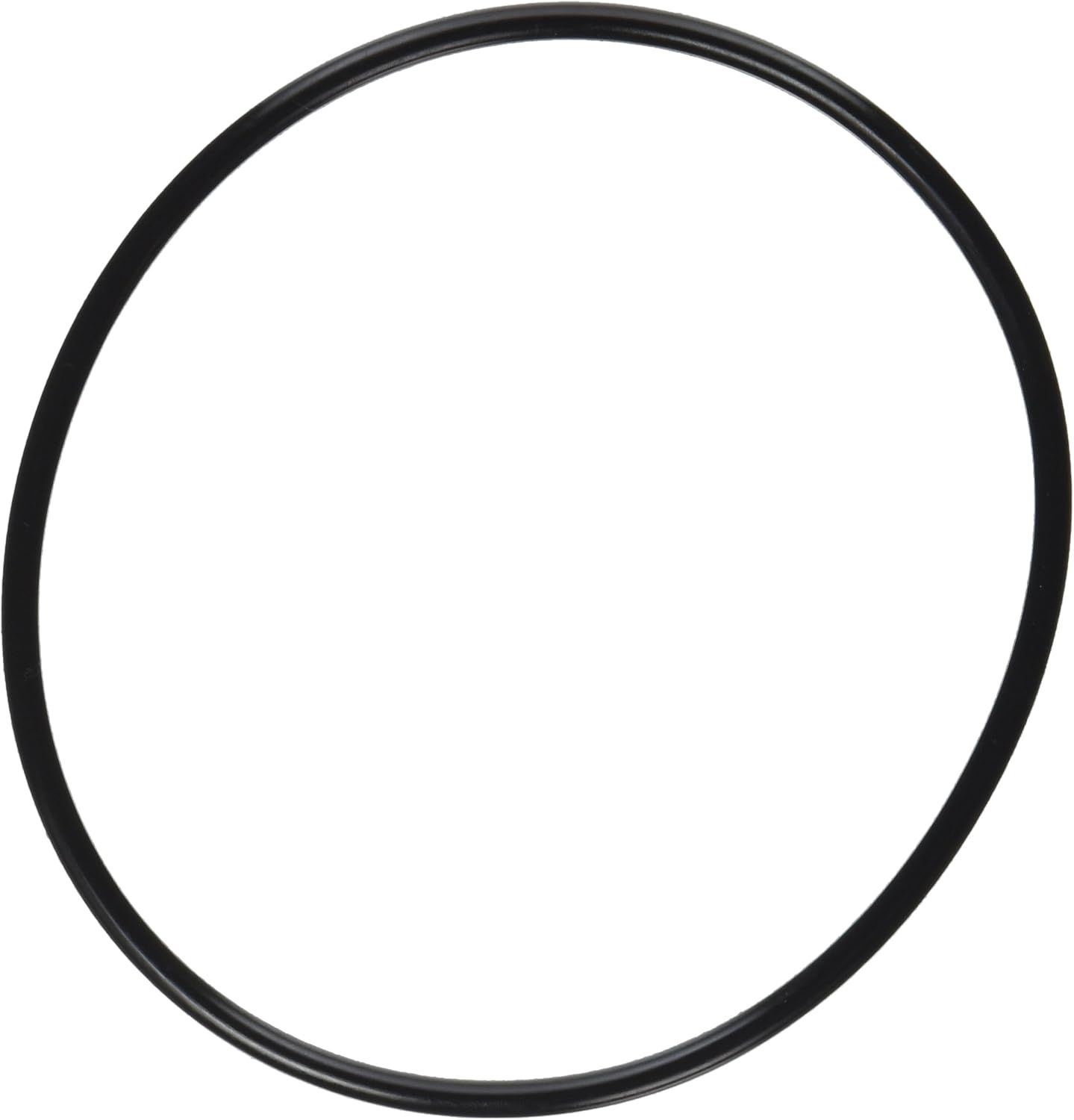A black rubber ring on a white background