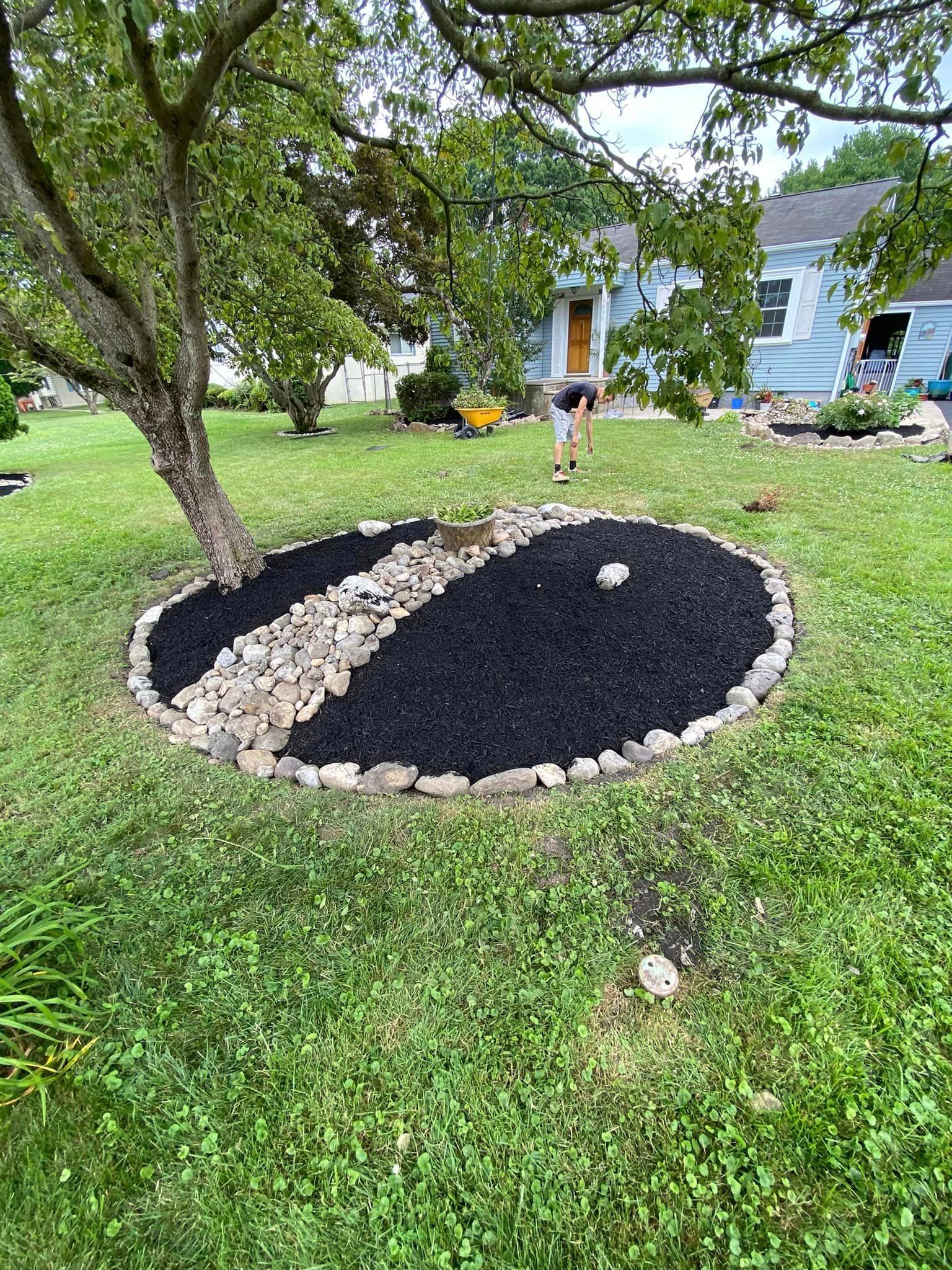 Tree With Black Soil — Feasterville, PA — Robert’s Landscaping