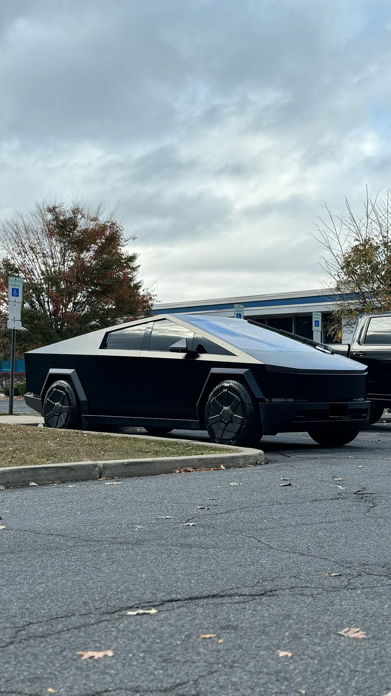 Window Tinting Services