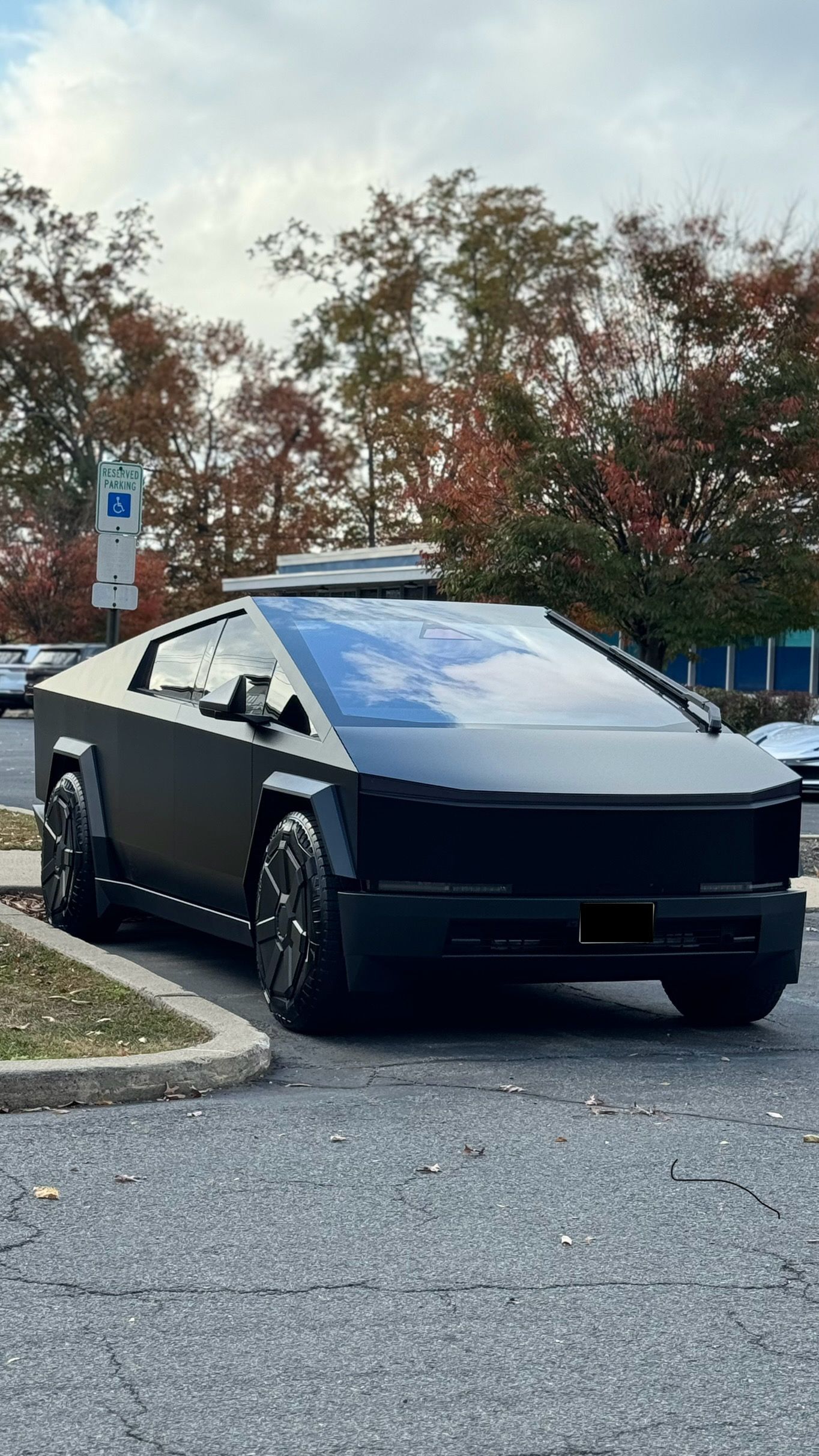 Window Tinting Services