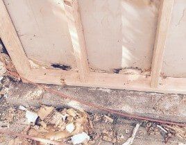 Termite Control Pest Fumigation Oxnard Ca