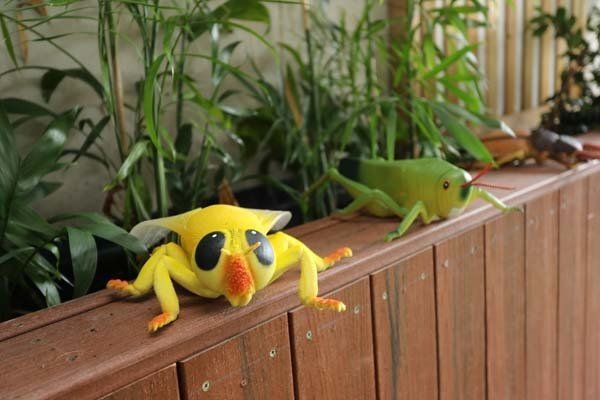 Jenny's Lane Cove North outdoor decorations