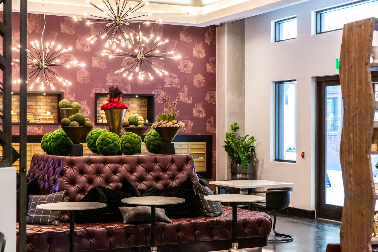 A wooden path leading to a white building with a tree in the background.