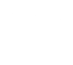 Blank white image with a thin black border at the bottom