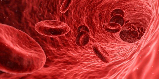 Ilustración de flujo de glóbulos rojos de la sangre