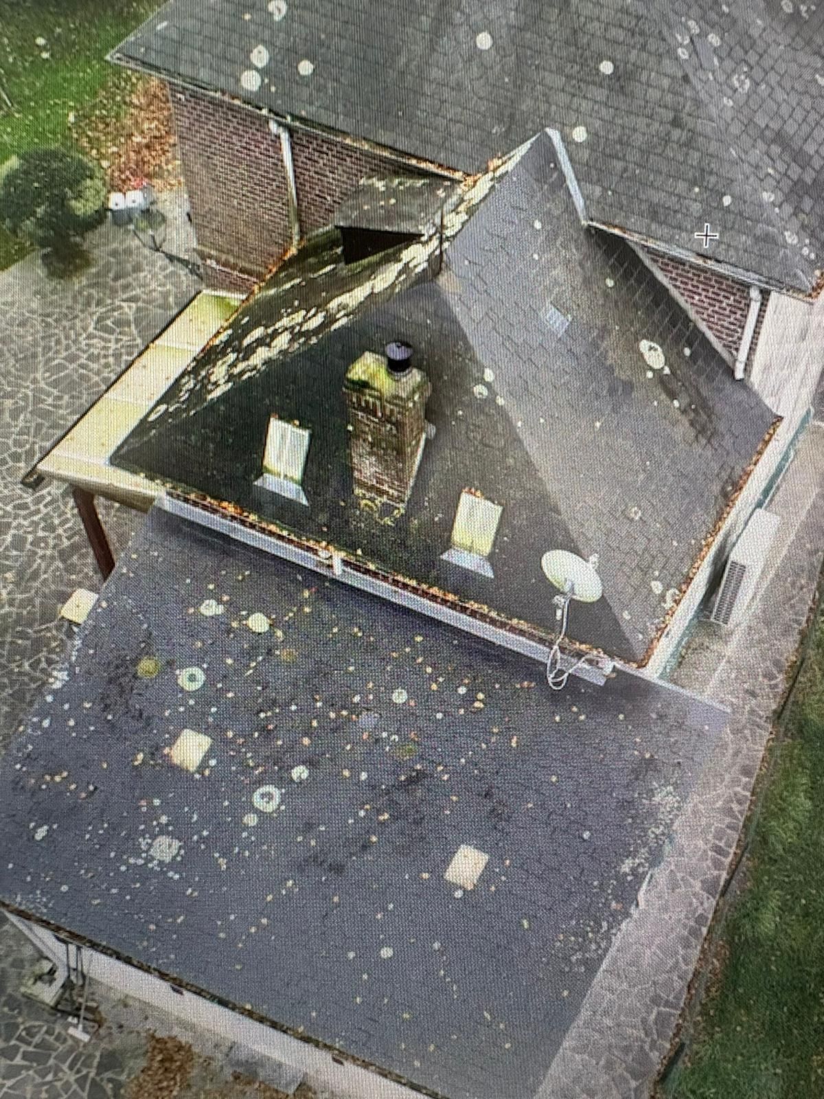 Toiture couverte de mousse avant démoussage par Geagi dans le Pays de Caux