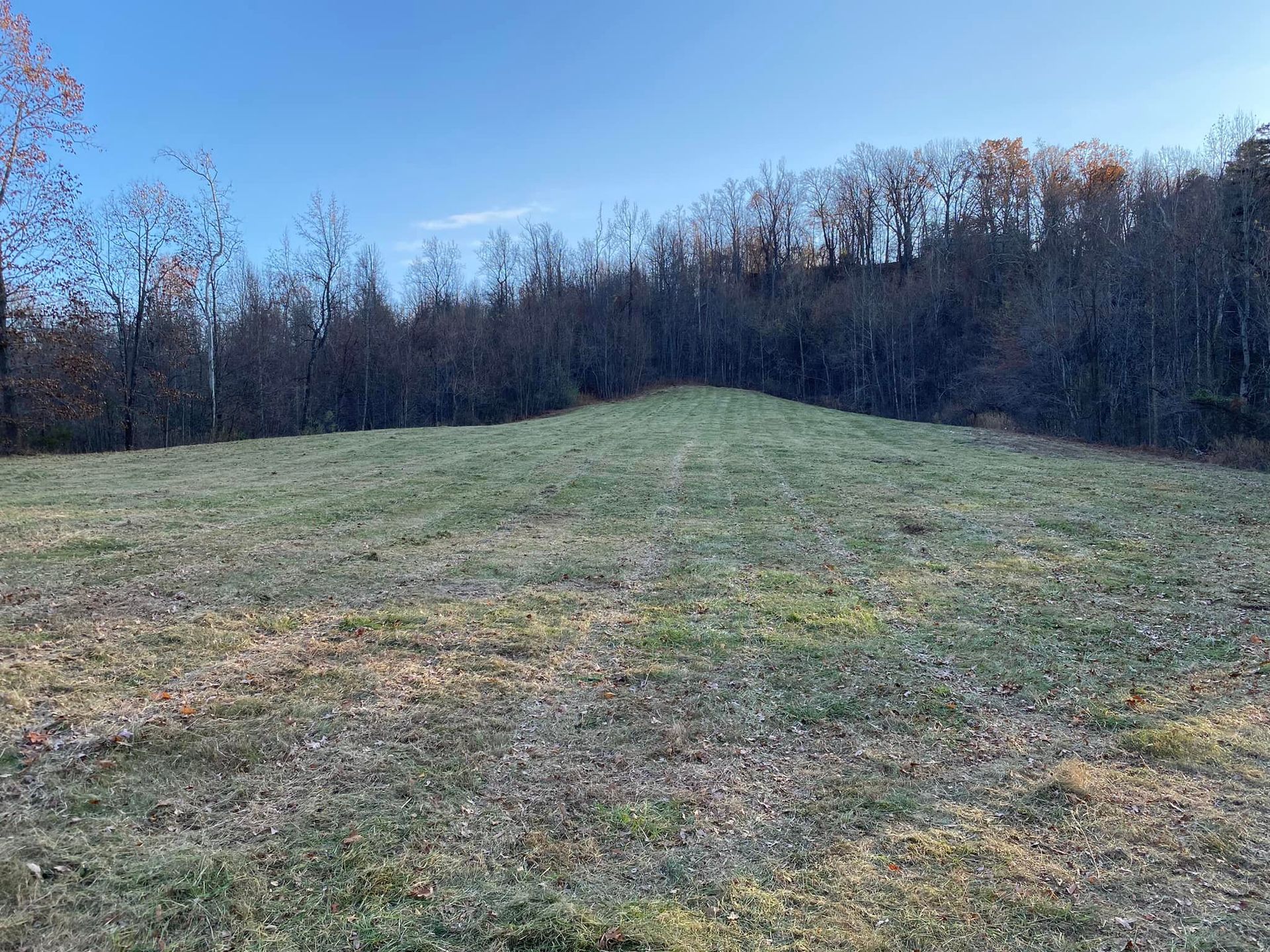 Grassy field with a small mound, trees in the background under a blue sky.