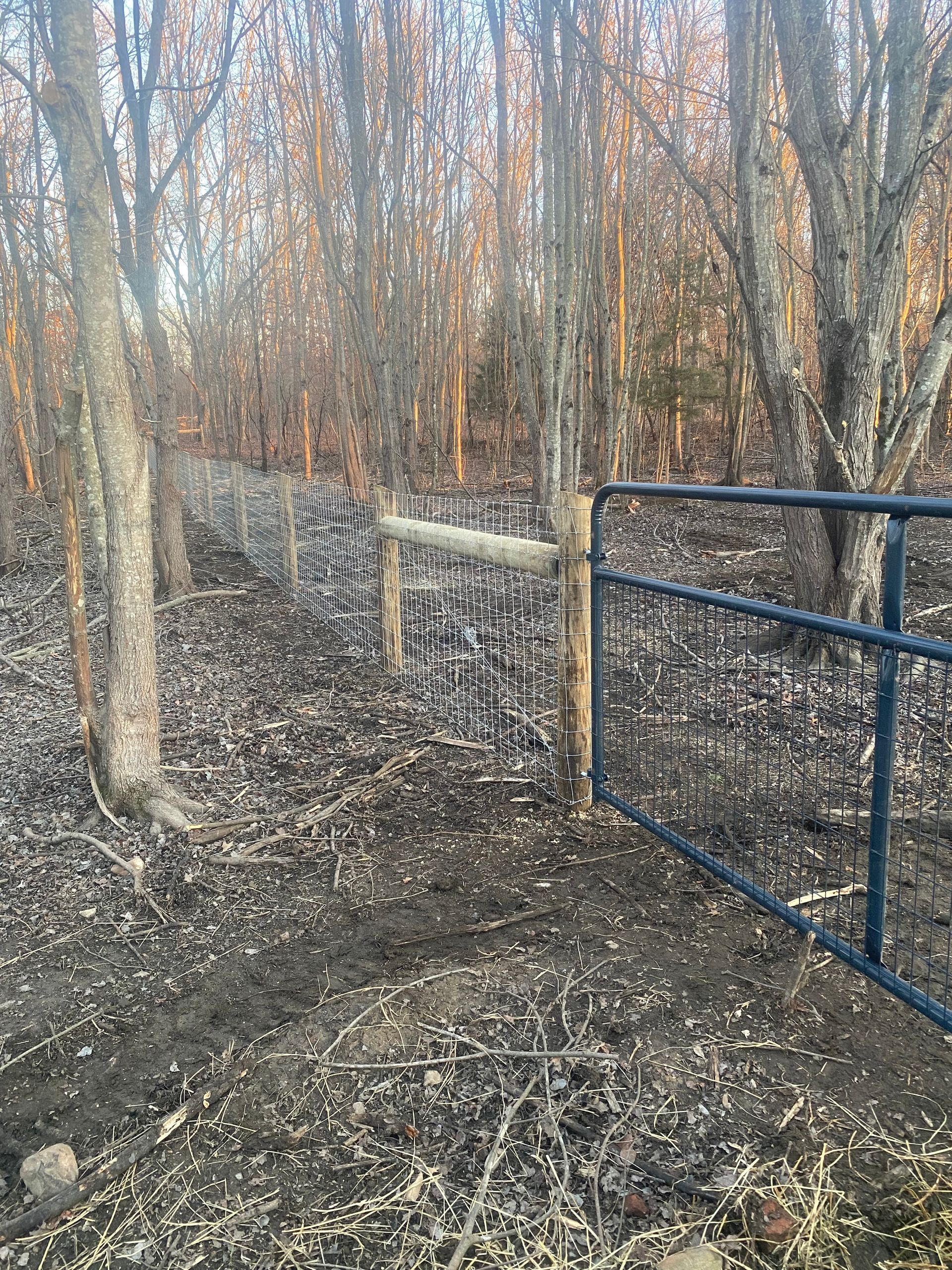 A muddy pathway leads to a metal gate and wooden fence in a wooded area. Trees in the background.