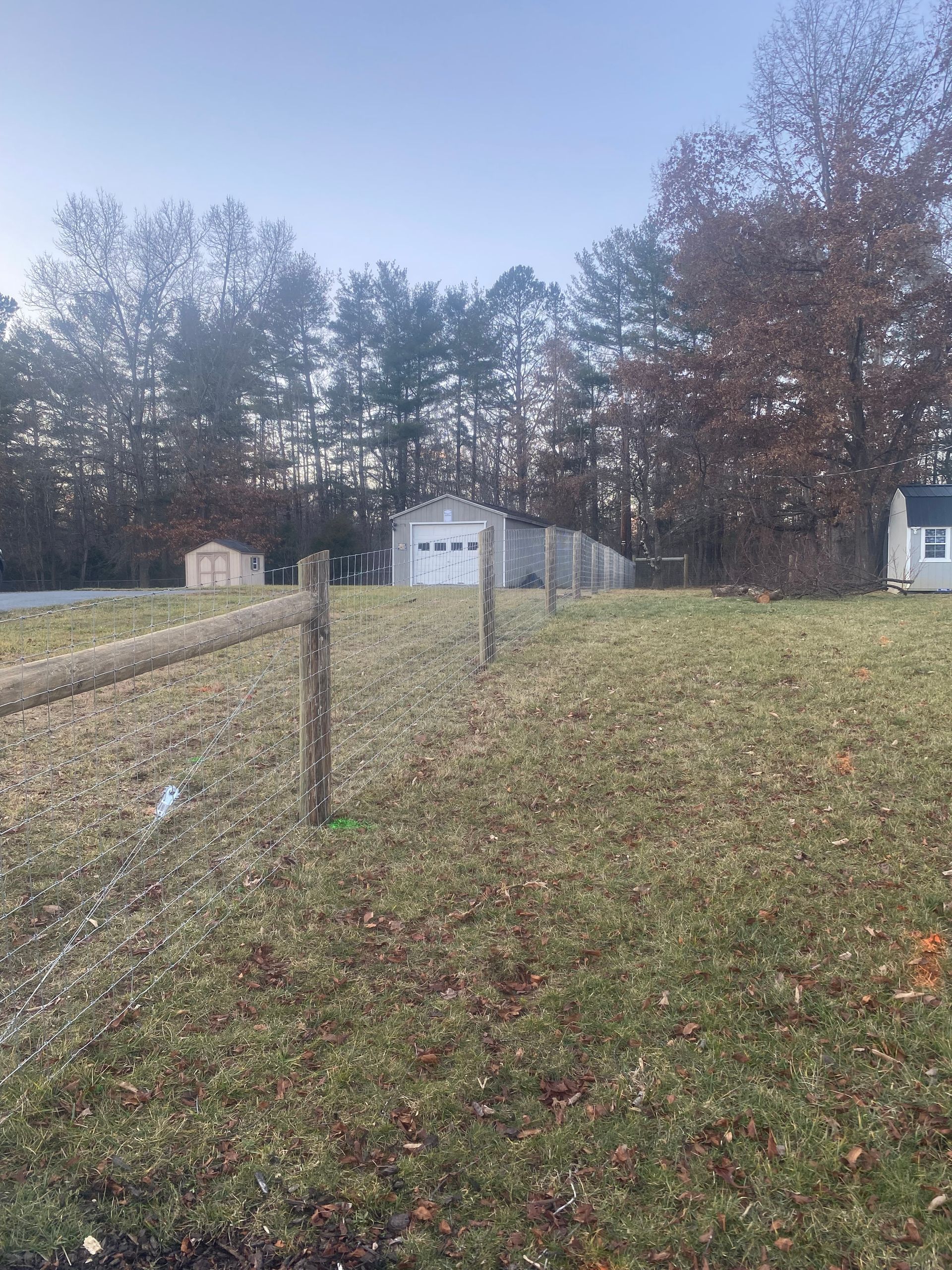 Grassy yard with wooden fence posts; sheds and trees in the background under a pale blue sky.