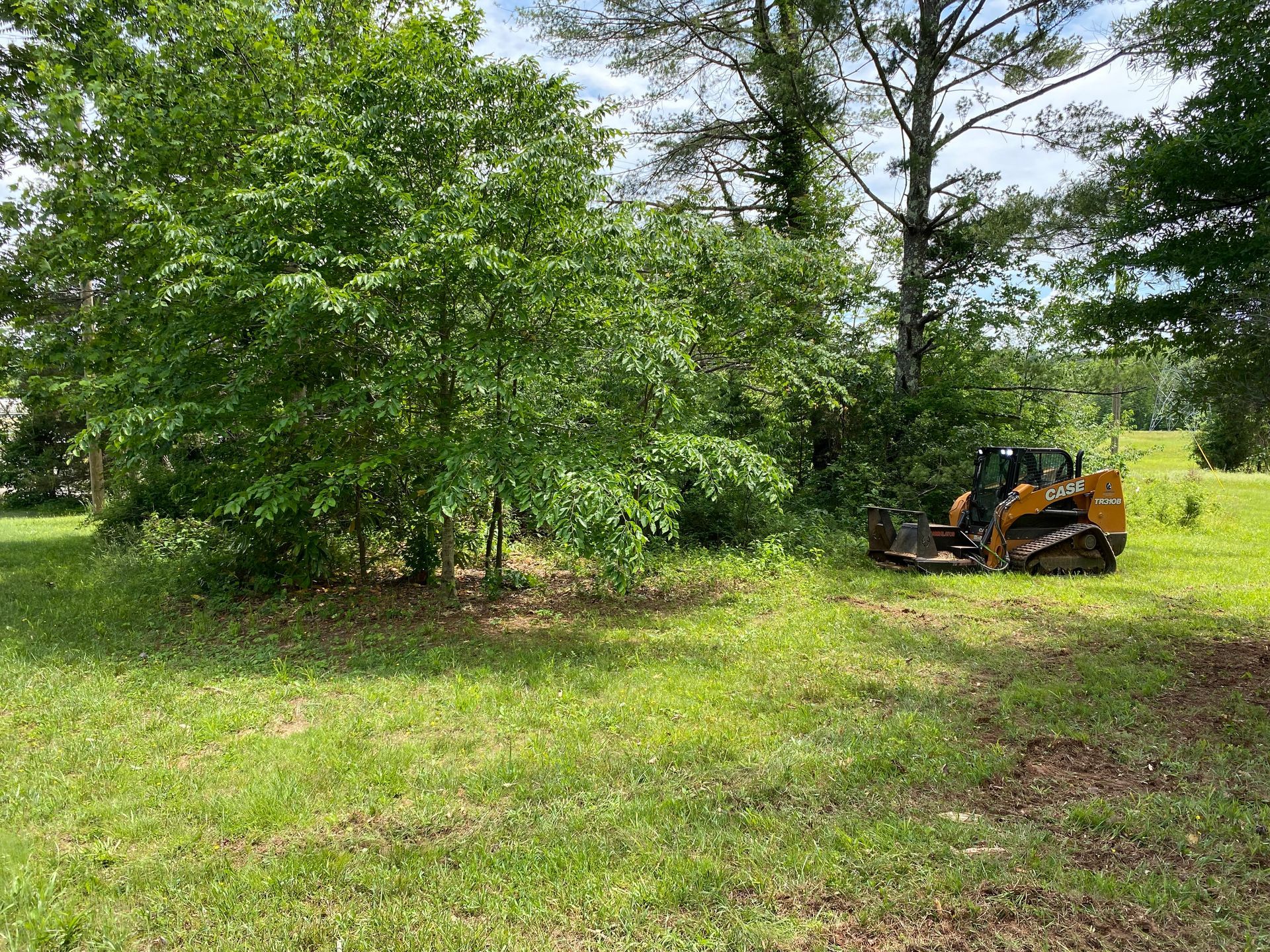 A small, orange skid steer clearing brush on a grassy field with trees in the background.