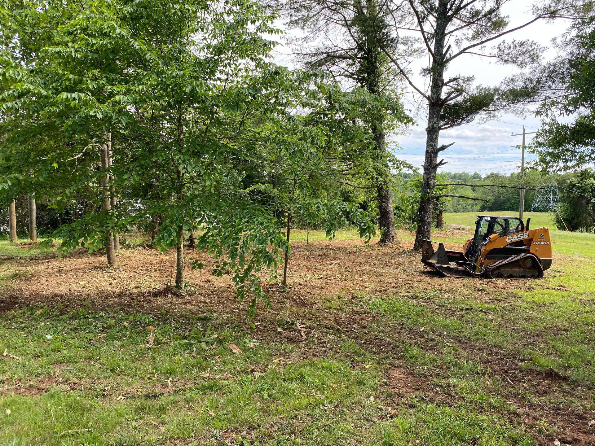 A small bulldozer clearing debris near trees in a grassy field on a sunny day.