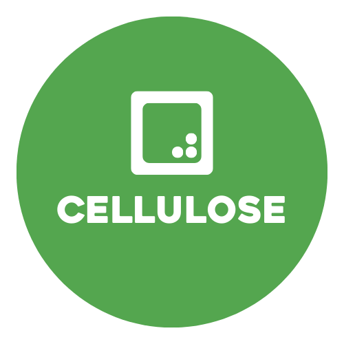 A green circle with the word cellulose on it.