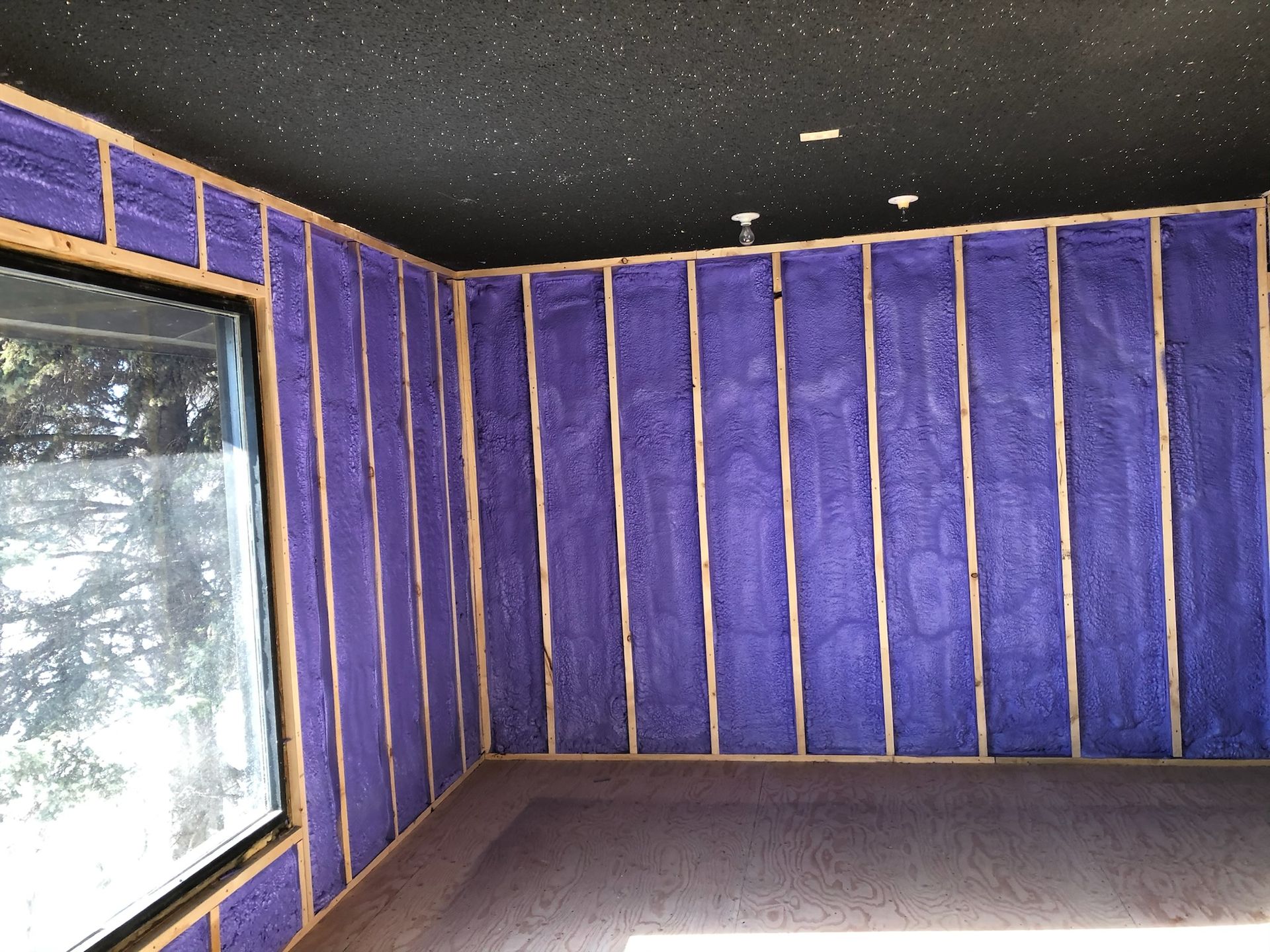 A room with purple walls and a window