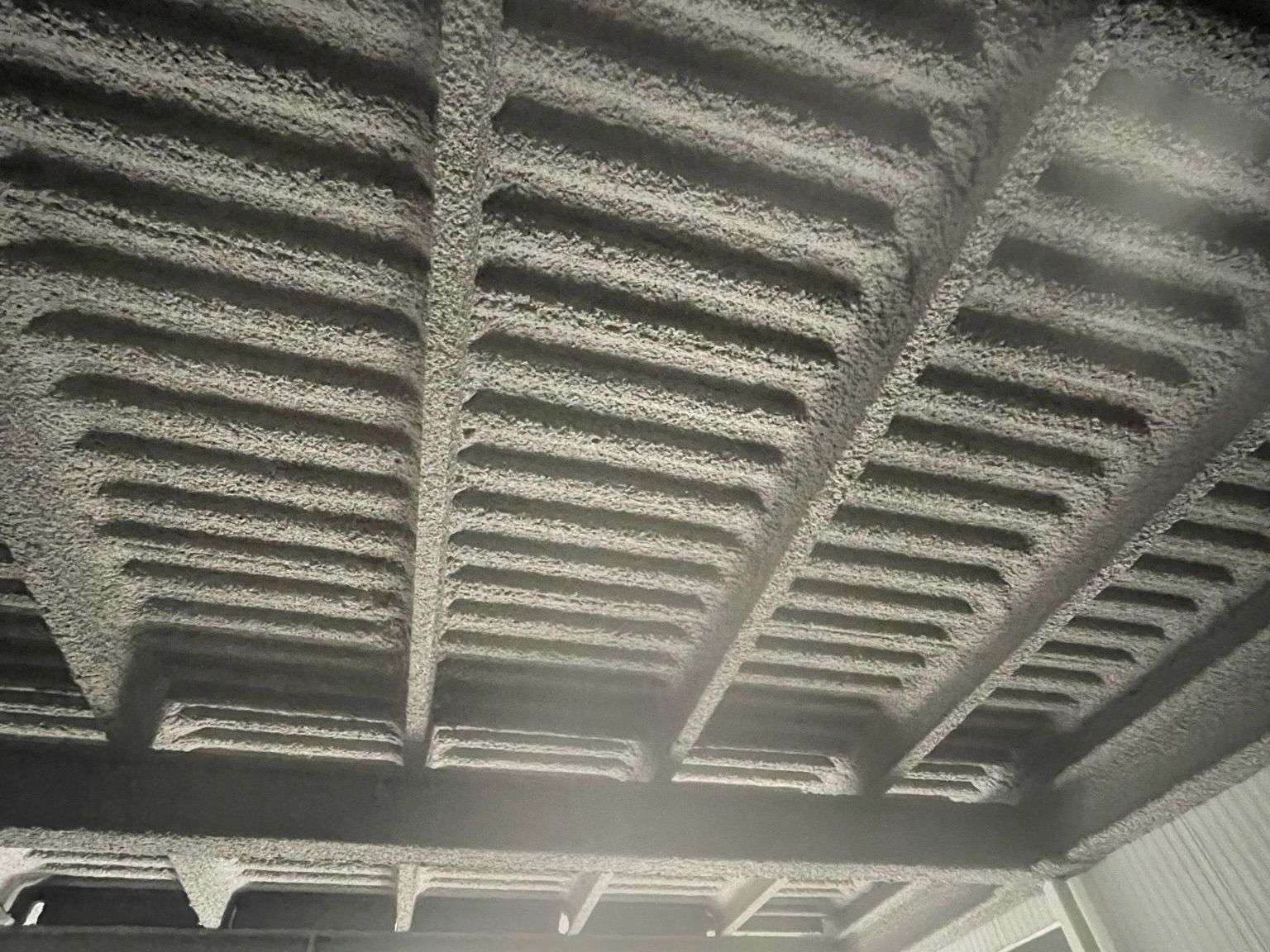 A black and white photo of the ceiling of a building.