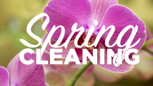 Spring Clean While Going Green