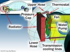 Cooling System Service