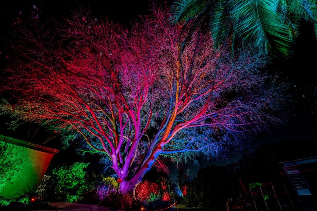 A tree is lit up with colorful lights at night.