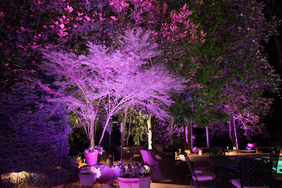 Get in touch today for a free outdoor lighting quote.