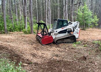 A bulldozer is cutting down trees in the woods.