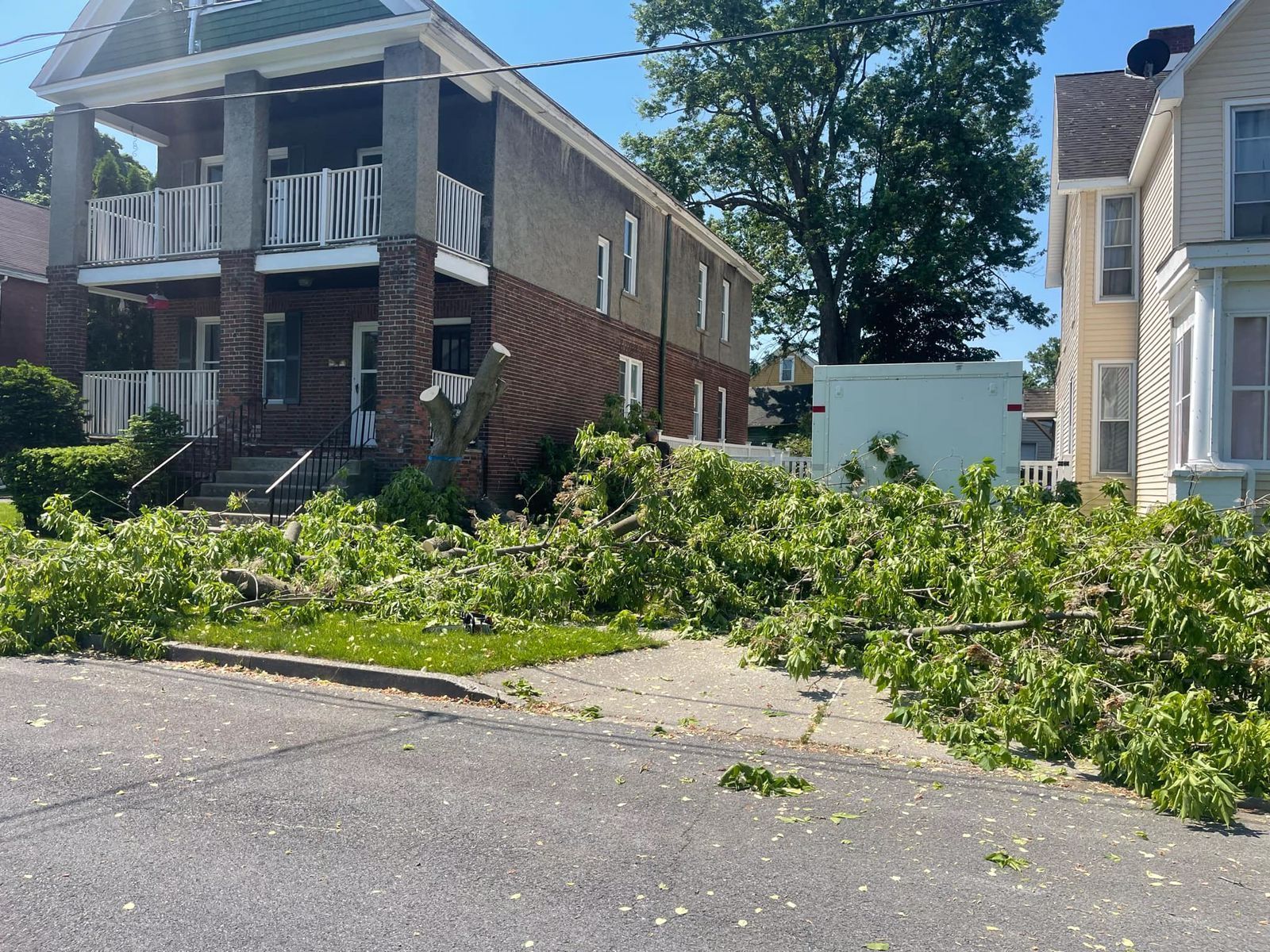 A tree that has fallen in front of a house