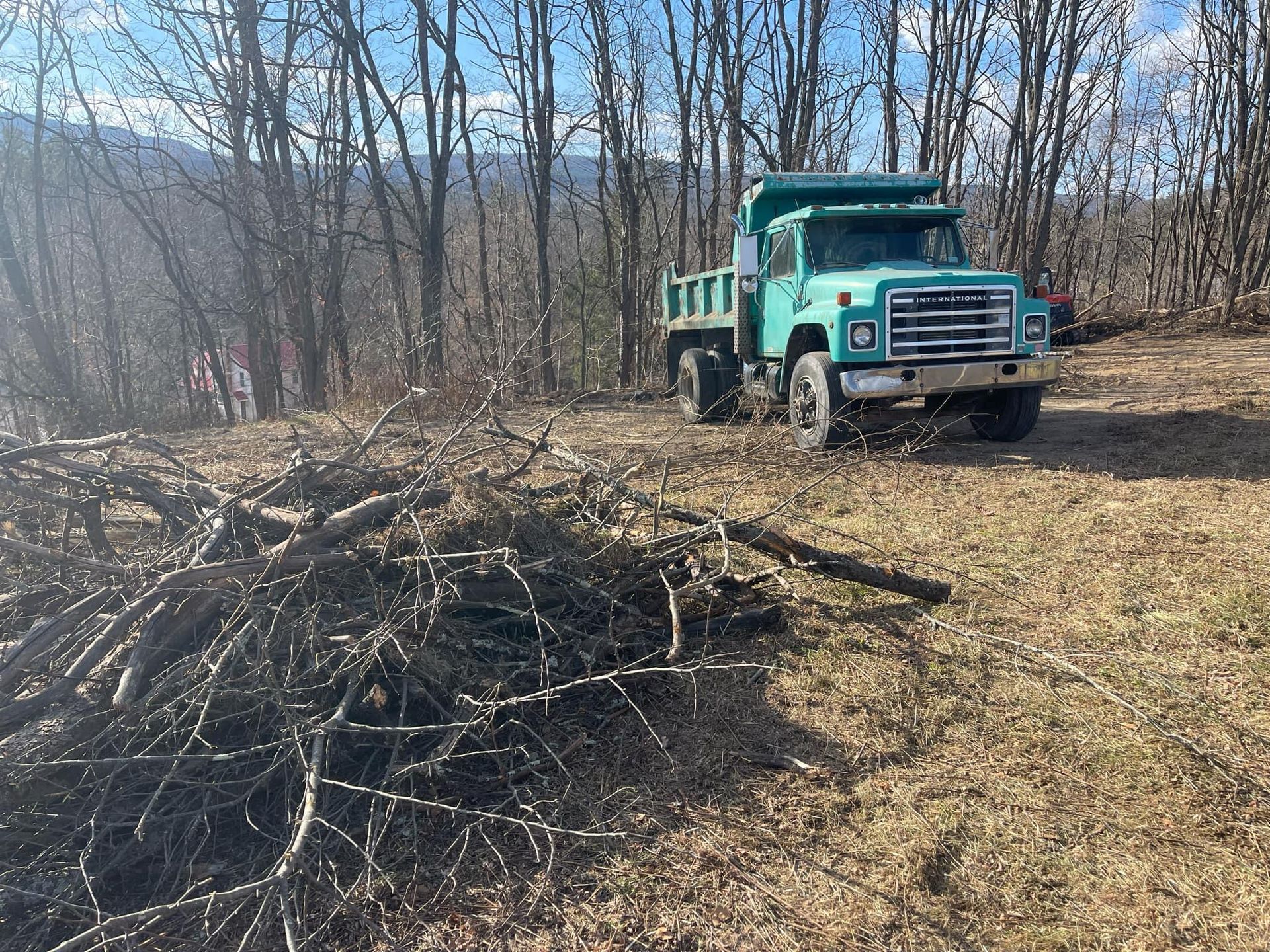 A dump truck is driving down a dirt road in the woods.