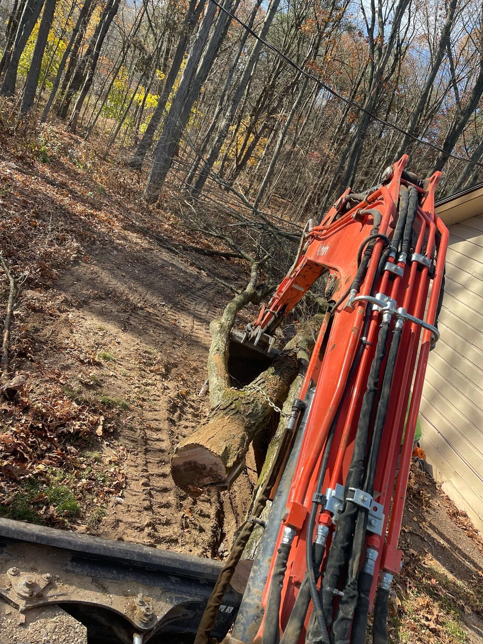 A red excavator is digging a hole in the woods.
