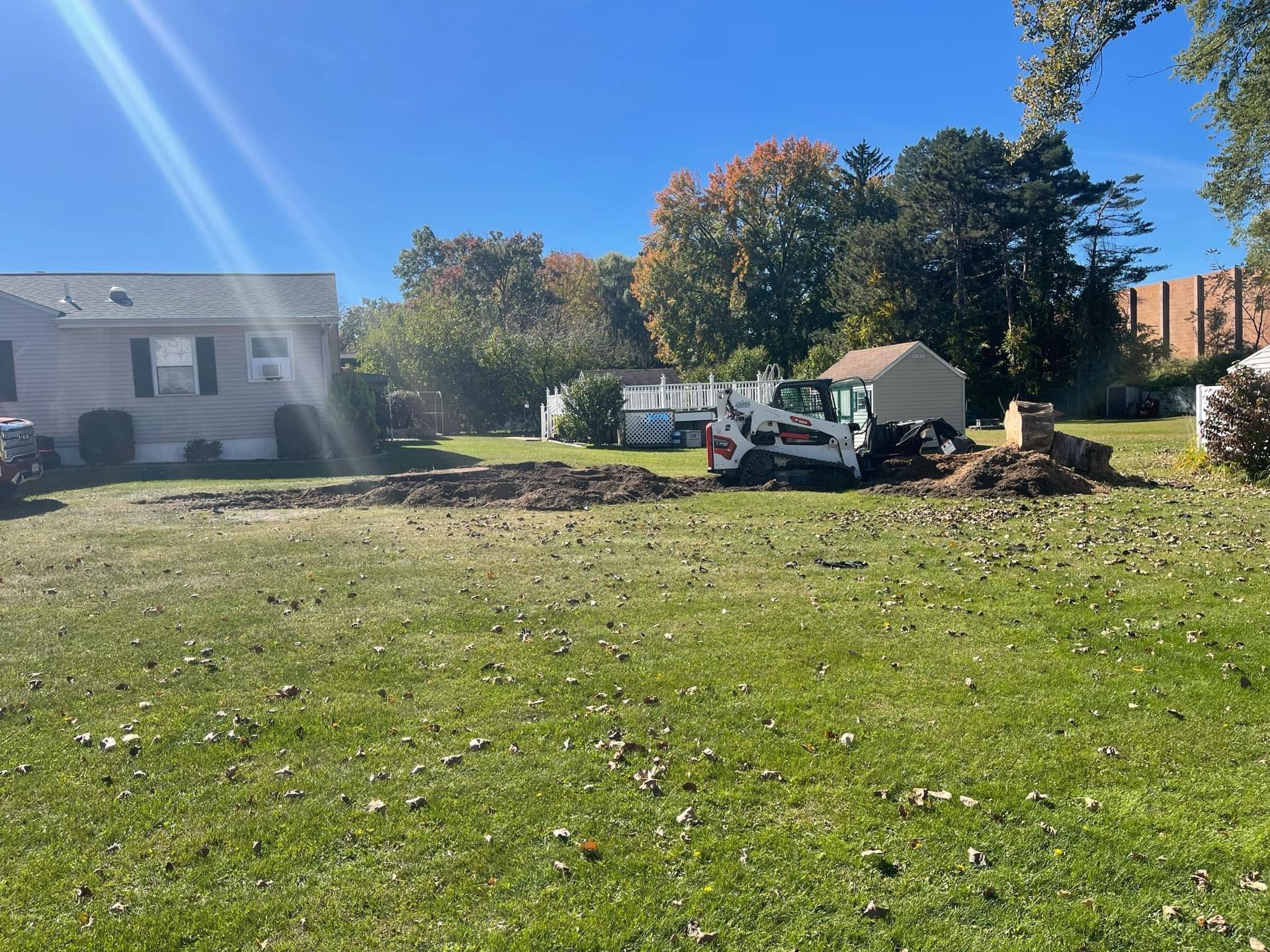 A bobcat is sitting in the grass in front of a house