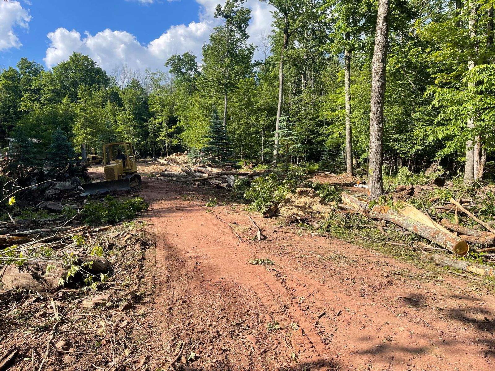 A tractor is driving down a dirt road in the middle of a forest.