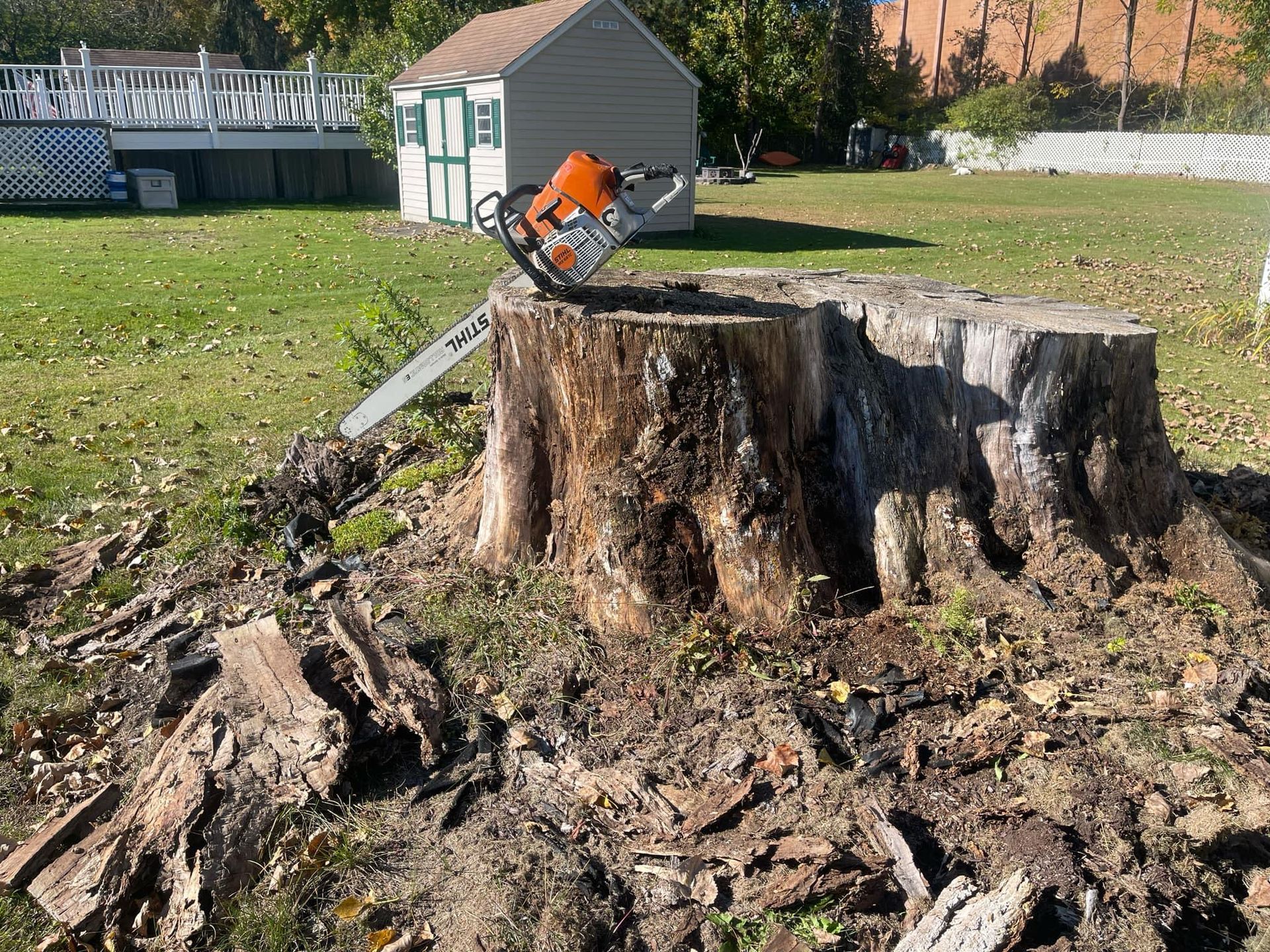 A chainsaw is sitting on top of a tree stump