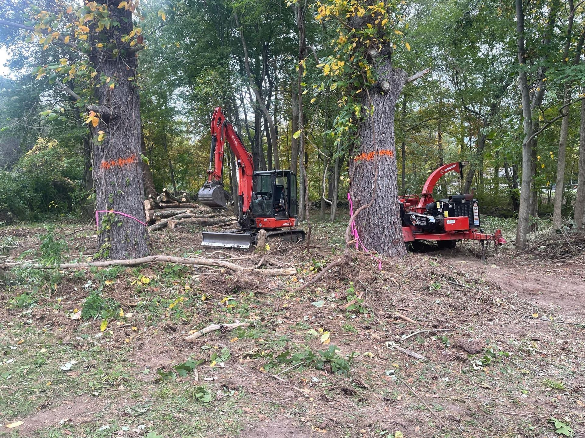 A red excavator is in the middle of a forest