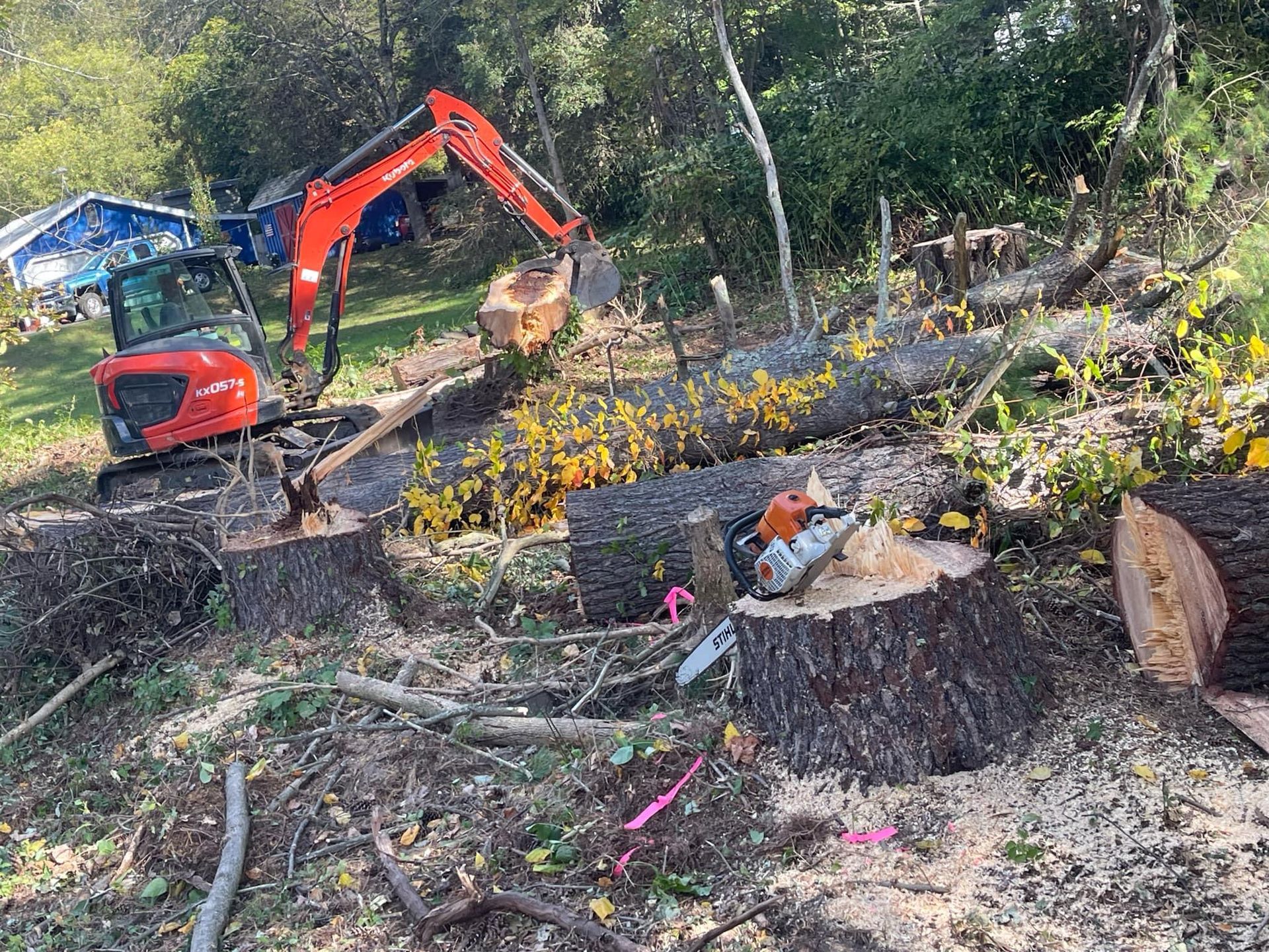 A red excavator is digging a hole in the ground in a forest.