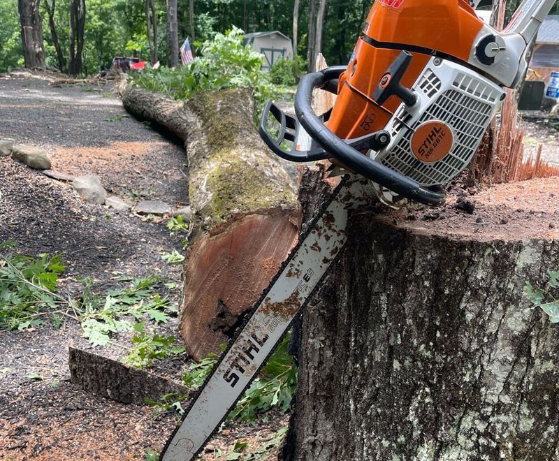 A red excavator is sitting on the side of a road next to a cone.