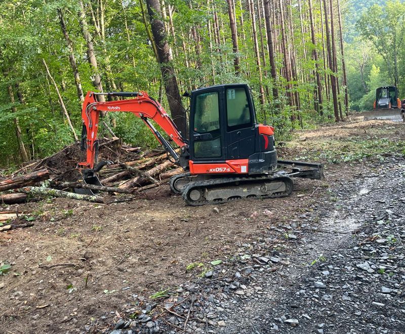 A red and black excavator is sitting in the middle of a forest.
