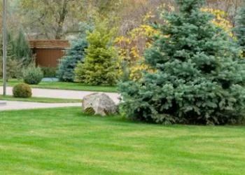 Lush green lawn with evergreens and a boulder, a path winds away from view.