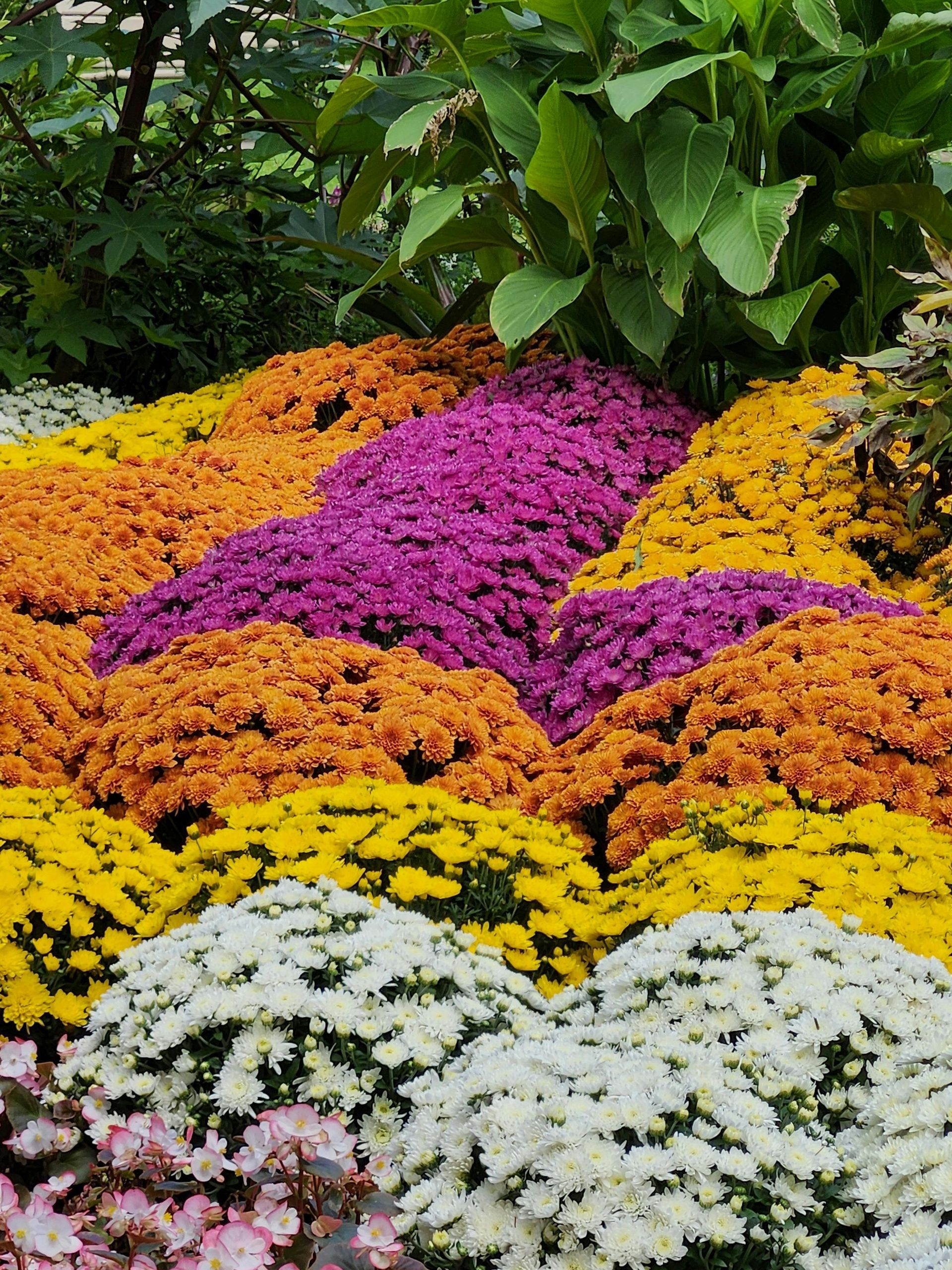 Scoop of soil - Winning Touch Nursery