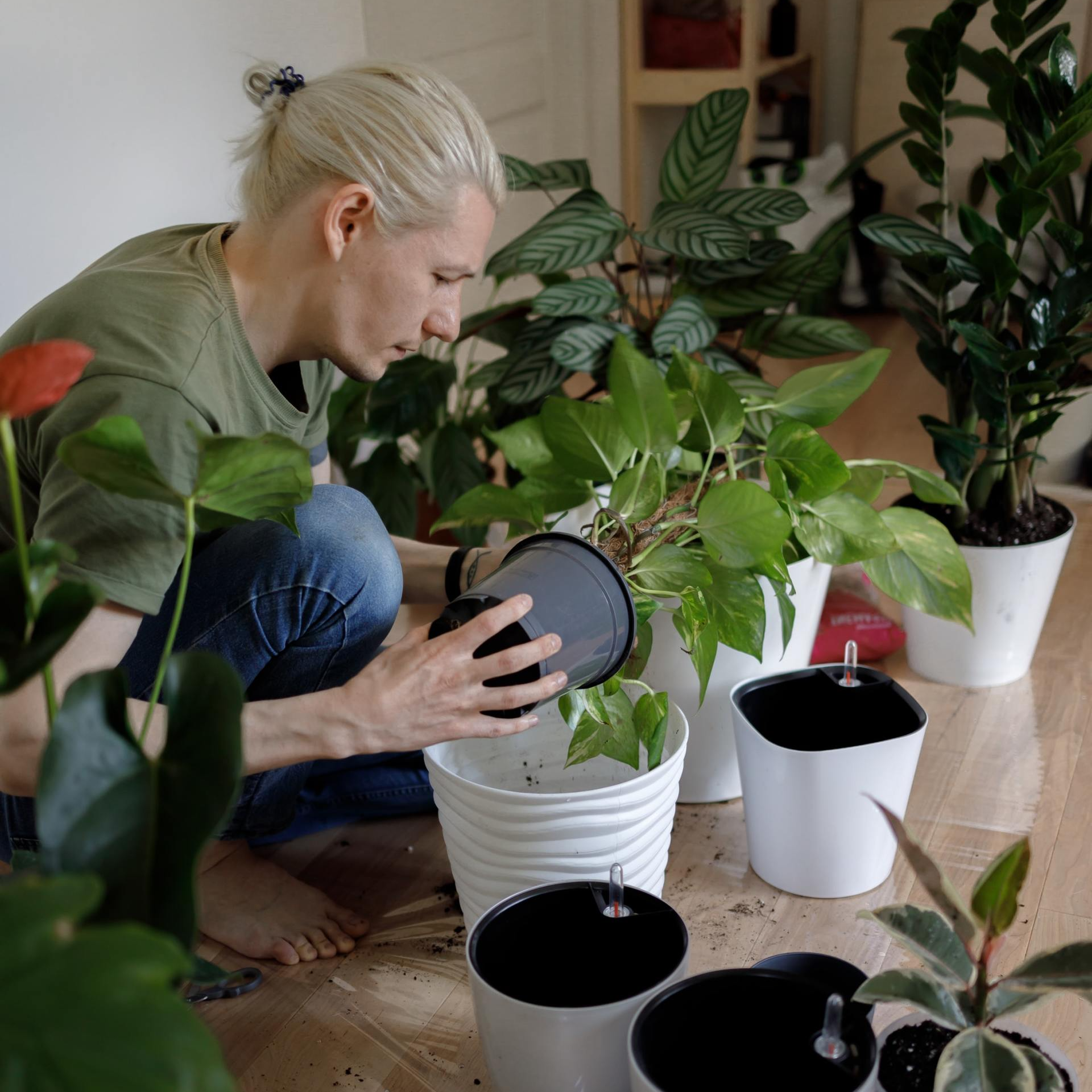Man potting plants Man potting plants