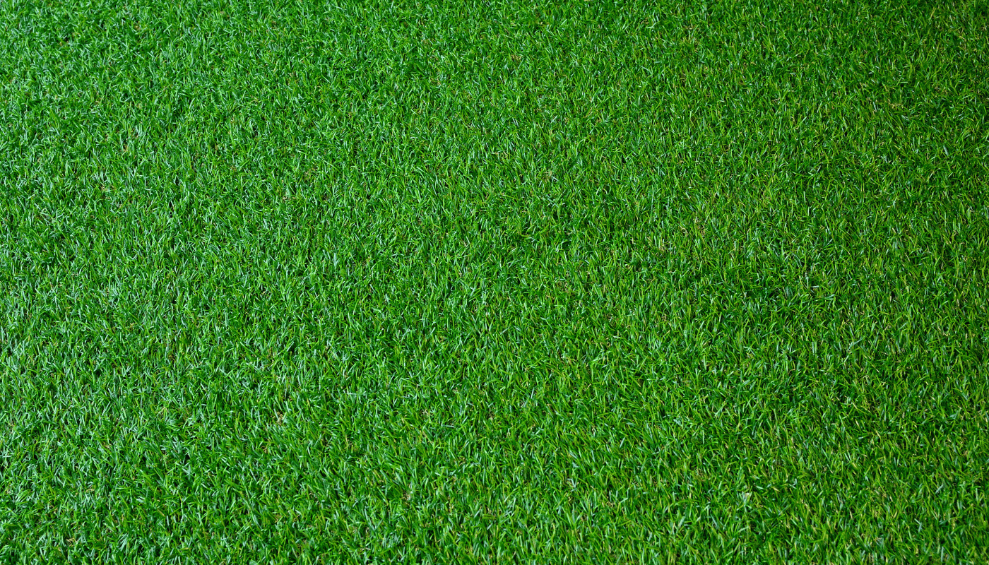 image about a Free Landscape Design Guide for Southwest Florida