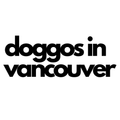 company logo that says doggos in vancouver