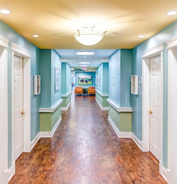 A long hallway with wooden floors and blue walls