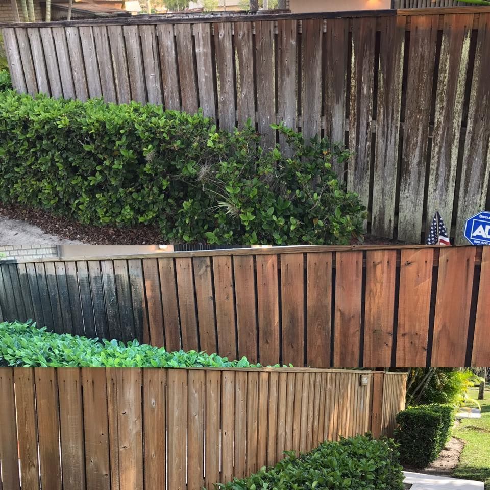 Three views of a wooden fence, before and after a staining treatment, with green bushes in front.