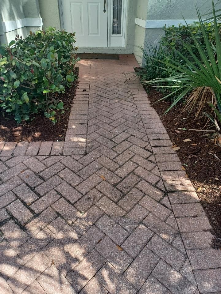 Brick pathway leading to a white front door, flanked by green bushes and landscaping, with sunlight dappling the bricks.