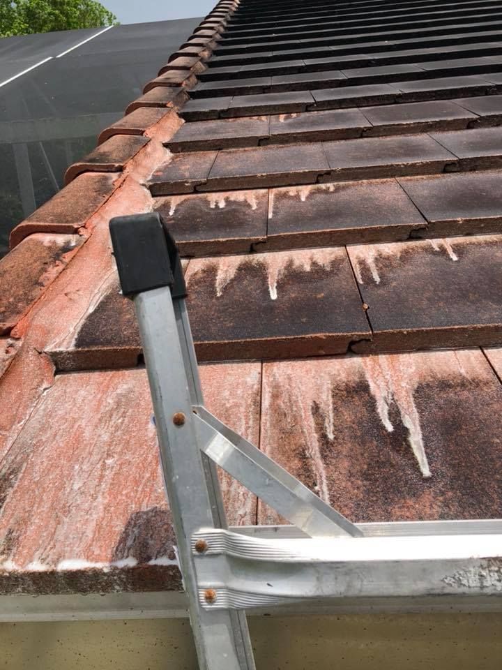 Ladder leaning against a roof with dark staining. The tiles are reddish-brown and show water marks.