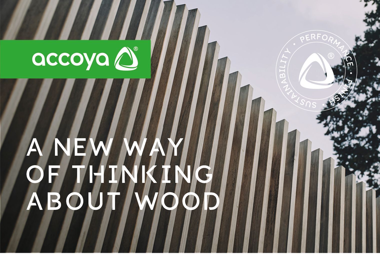 Accoya Wood Accoya Wood