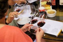 A group of people are sitting at a table holding wine glasses.