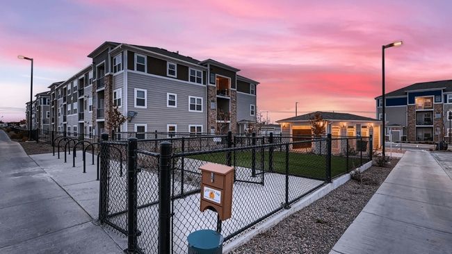 Apartment complex with a dog park at sunset; buildings are gray, sky is pink/orange.