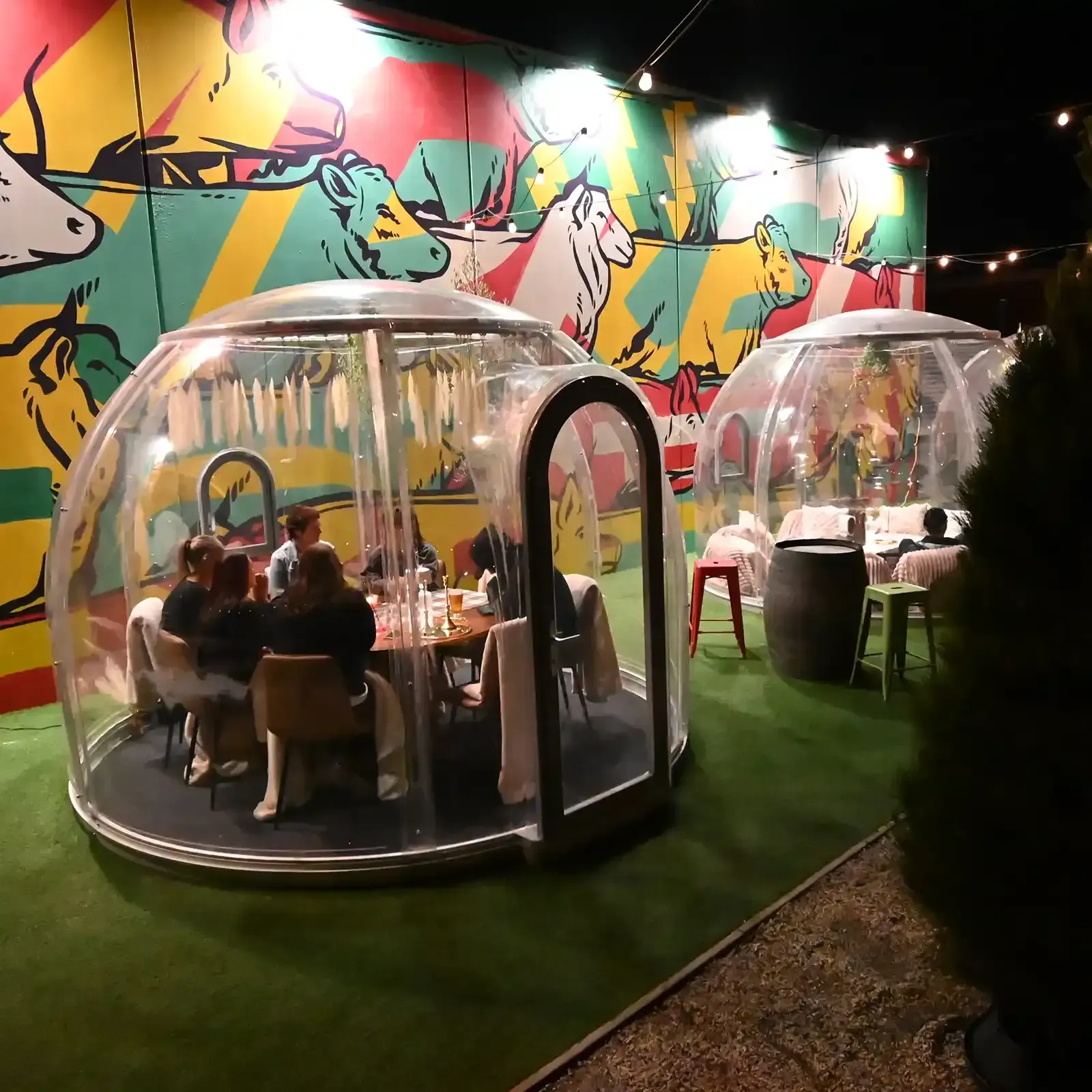 Book a Winter Garden Igloo at Market Hotel Ballarat