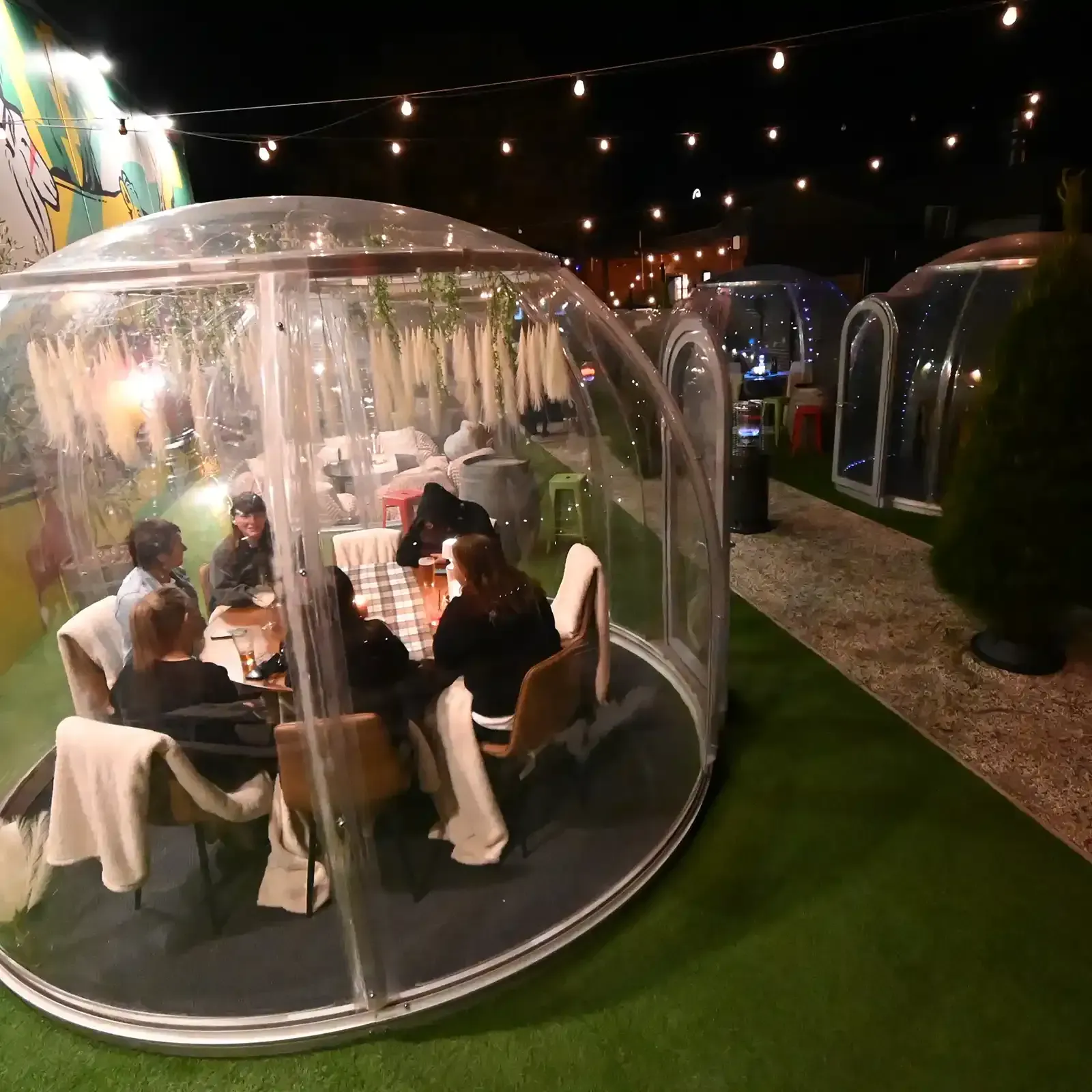 Book a Winter Garden Igloo at Market Hotel Ballarat