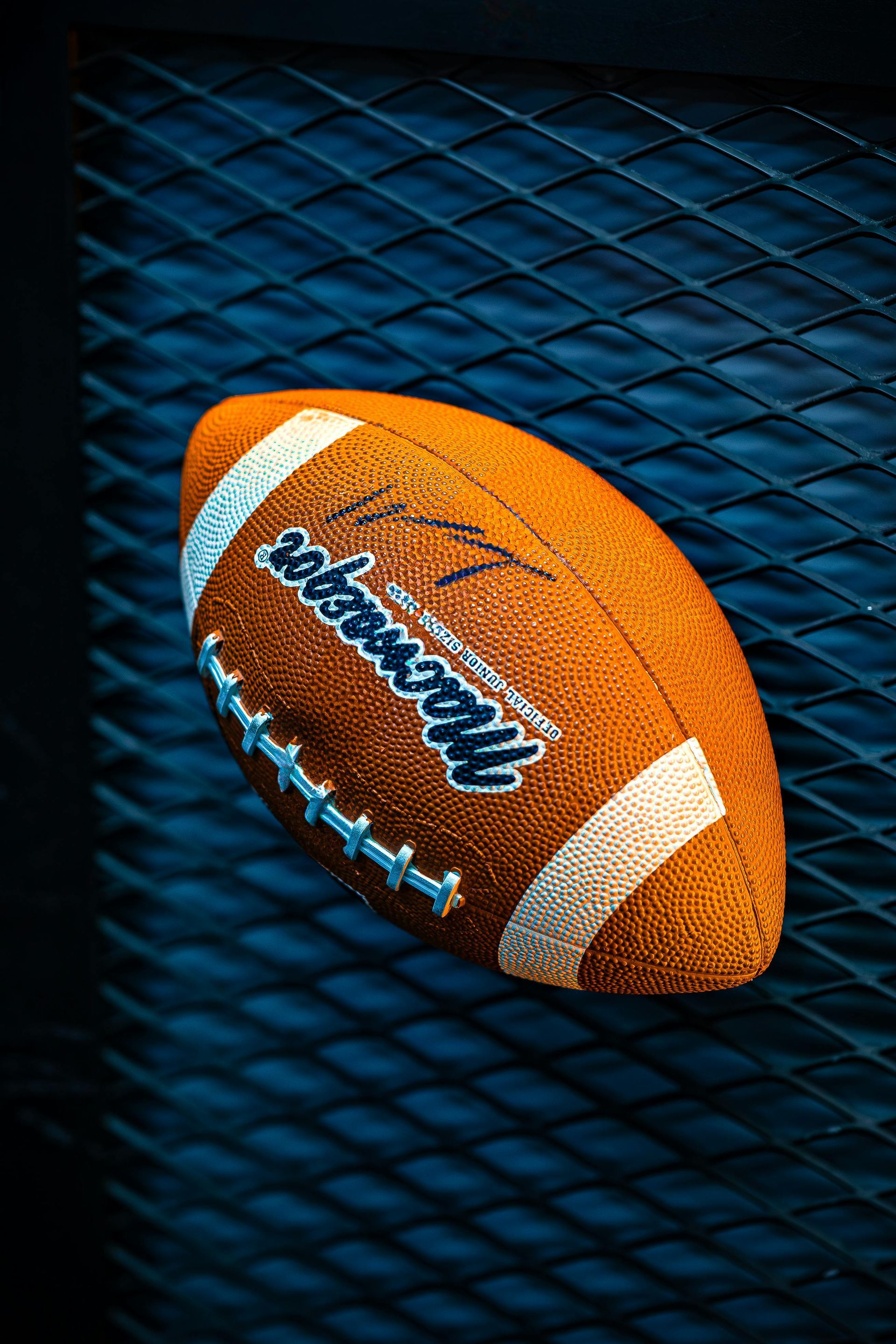 Un balón de fútbol está encima de una valla de metal.