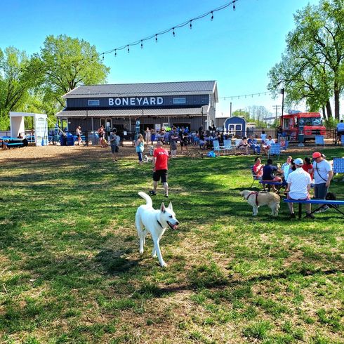 Outdoor dog park — Madison, WI — The Boneyard
