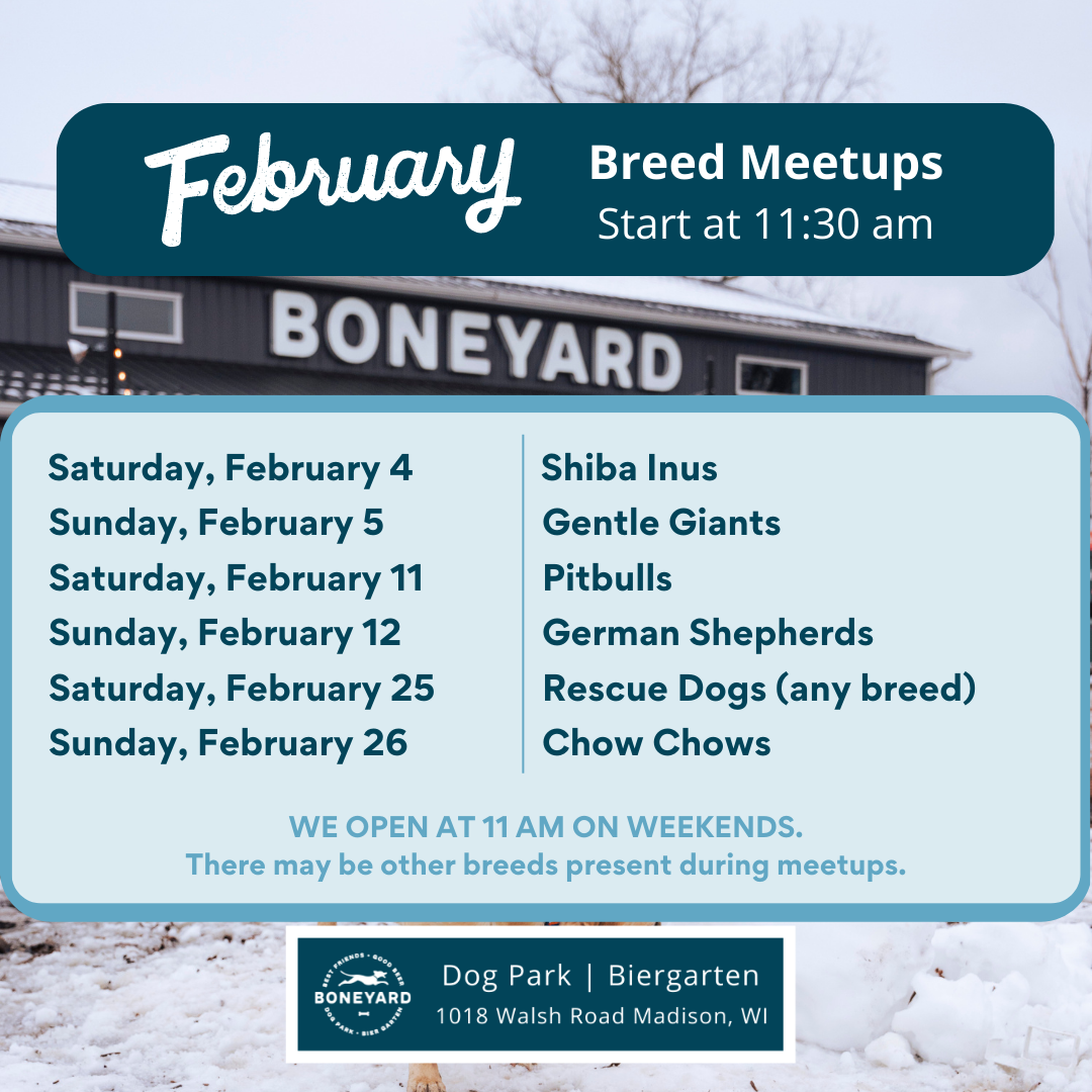 Events Dog Park and Biergarten Madison, WI The Boneyard